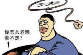 安丘融资清欠服务